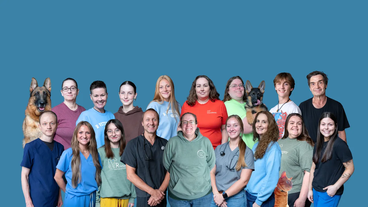 The whole Lake of the Ozarks team
